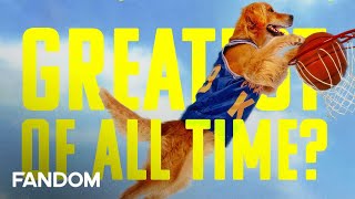 Download lagu By The Numbers | Is Air Bud The Greatest Athlete Ever? mp3