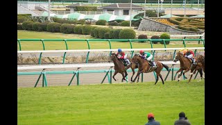 【POG21-22】競馬沼ドラフト会議 協賛ドニキ