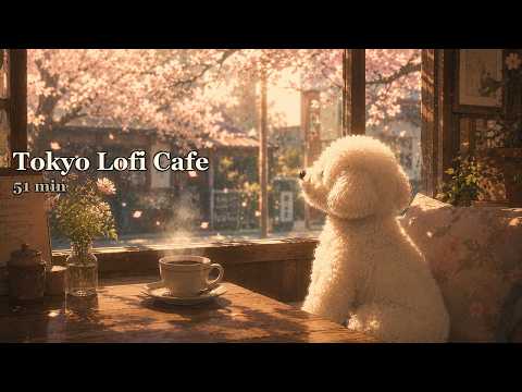Study Lofi Cafe — Boost Your Concentration ☕ | Tokyo Lofi Radio