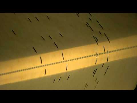 Ampico Lexington - 88n - Nickel In The Slot (Confrey) - Farrell