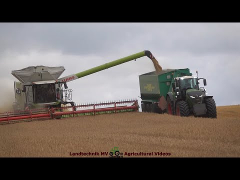 Claas - Fendt - Hawe - Horsch / Getreideernte - Grain Harvest  2022