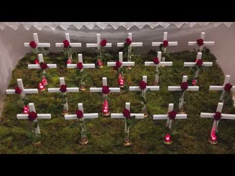 AKO NE ZNAŠ ŠTA JE BILO - M.P. Thompson i Hrvatske ruže