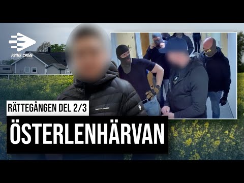 ÖSTERLENHÄRVAN | POLISEN ANVÄNDE VÅLD FÖR ATT LÅSA UPP MISSTÄNKTS TELEFON | DEL 2/3
