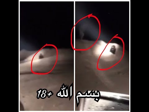 ابو فانوس