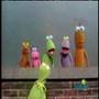 Sesame Street Twiddlebug Party