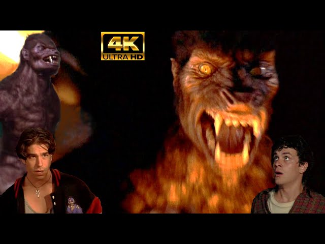 Vídeo relacionado con Boland 97515 Máscara Lupo Mannaro Werewolf de látex con pelo, gris, talla única