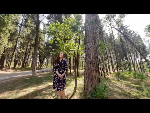 Vitrina e librit/ Albania in bianco e nero- Maurizio Bosio