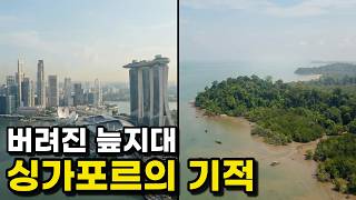 Download lagu 버려진 늪지대, 싱가포르의 기적 mp3 Download lagu 버려진 늪지대, 싱가포르의 기적 mp3