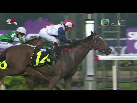 2018 (668) - River Golden (江河小寶) - A.Badel
