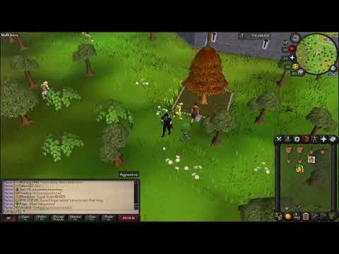Osrs farming pet