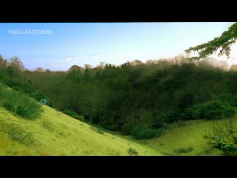 Kanal 9 Channel Identity "Boxhill" - Dallas Sthlm