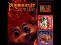 Dinosaur Jr - Show Me The Way