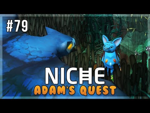 Searching for a Sign! | Niche Let's Play • Adam's Quest - Episode 79