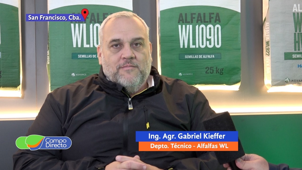 Campo Directo | Siembra de alfalfas en junio, una ventaja con la nueva tecnología