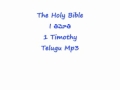 1 Timothy(I తిమోతికి )_The Bible telugu audio.wmv