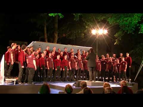 PAZ Vinko Vodopivec - Zdravljica (U. Vrabec)