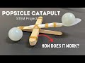 How To Make A Catapult STEM Project How Does It Work