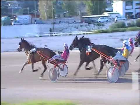 Trotto 06/04/2018 - 7ª corsa