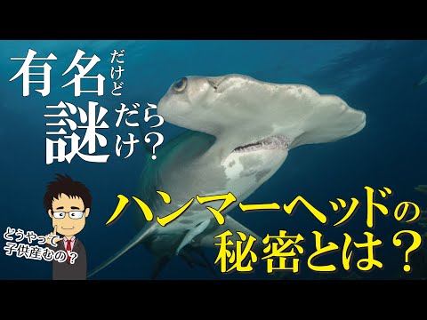 IUCN分類における絶滅の危険性を示す図。