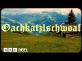 Oachkatzlschwoaf: My identity crisis growing up mixed race in Austria – BBC REEL