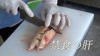 なぜ日本人は猛毒を食すのか？映画『GUN FISH　あなたの知らないフグの世界』予告編