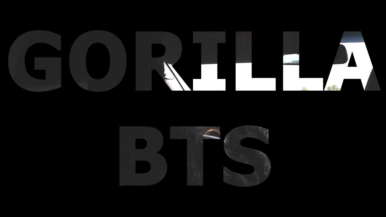 GORILLA BTS
