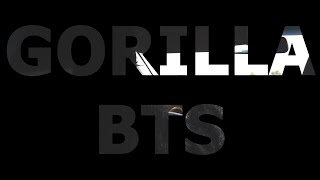 GORILLA BTS