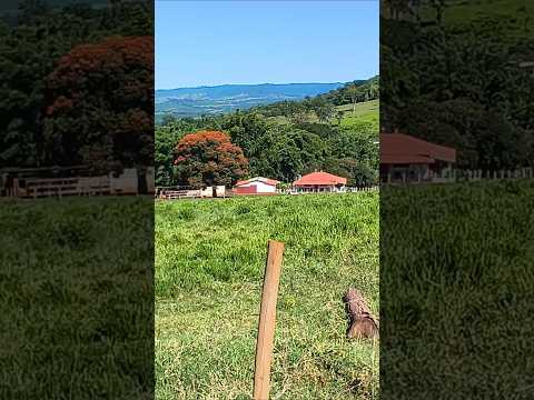 Em minas gerais, Claraval!