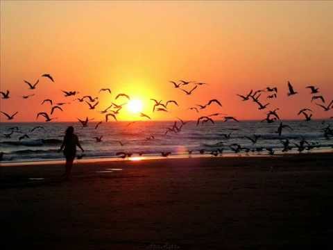 Eltonnick feat. NaakMusiQ - Reach The Light