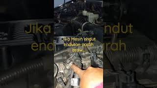 Download lagu RPM DROP, MESIN MAU MATI KETIKA PEDAL GAS DILEPAS#fyp mp3 Download lagu RPM DROP, MESIN MAU MATI KETIKA PEDAL GAS DILEPAS#fyp mp3