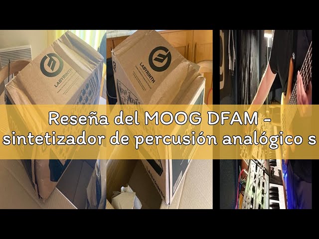 Vídeo relacionado con MOOG DFAM - sintetizador de percusión analógico semimodular con secuenciador de 8 pasos y bahía de parcheo de 24 puntos