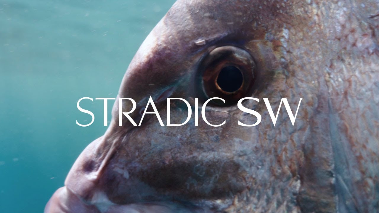 Shimano 24 Stradic SW B Spinning Reel video thumbnail