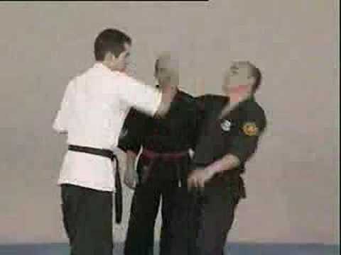 Kyusho Jitsu 3 Points on the head