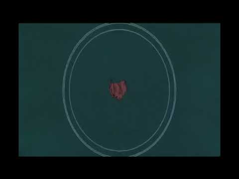 Inuyasha Movie 2 : Kaguya's revival