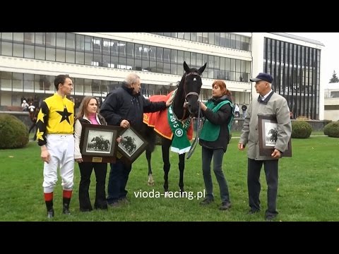 Gon. IV (N. Criterium) - 25.10.2015 - Staight Away (Barastraight - Green Away)