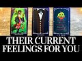 PICK A CARD💓😍 Their CURRENT FEELINGS For YOU! 😍💓 They want you to know THIS! 🌟 Love Tarot Reading