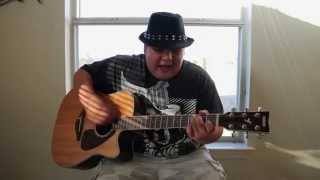 The Phoenix - Fall Out Boy (Acoustic Cover)