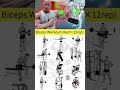 Biceps Exercises Biceps Workout With Dumbbells Biceps Best Bicep Workout Biceps Bicepworkout