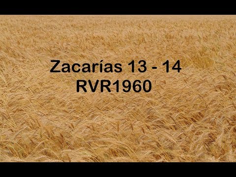 The Bible in a Year/Zechariah 13-14 (Audio, Lyrics) Day 363