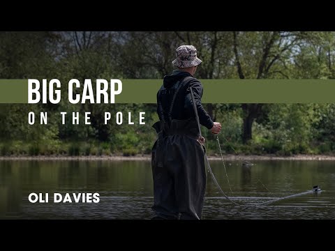 Oli Davies has a Bushwhacker baiting pole and he’s going to use it to catch BIG CARP! preview