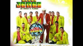 domino la numero uno banda jerez