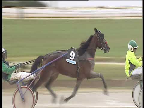 Trotto 14/06/2018 - 4ª corsa