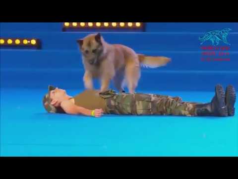 Dog dance World Championship 2016