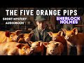 🕵️ Sherlock Holmes Adventures: The Five Orange Pips | Full Audiobook 🎧 | Arthur Conan Doyle