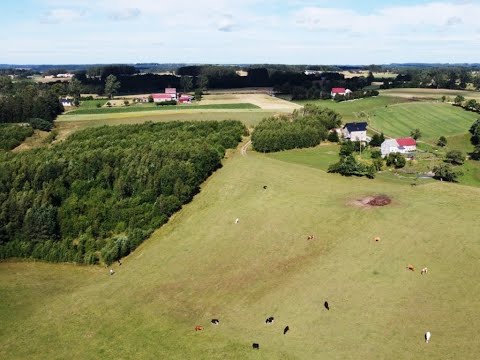 Łebno - działki na sprzedaż