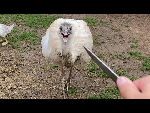 Kevin went TOO FAR this time...(Catch and Cook?)