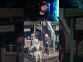 Meeting A Very ANGRY Kitty In Red Dead RP Reddeadredemption Rdr2 Gaming Streamer Reddeadrp