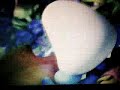 Sort Part Of Smurfs The Lost Village PS At The End He Said Stars