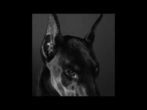 (FREE) LUV RESVAL x CAPTAIN ROSHI x DJANGO TYPE BEAT (prod. by viq)