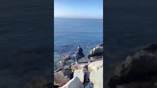 Funny Videos 2021 ● #shorts